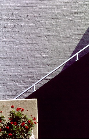 "Stairs and Flowers, Sarasota"