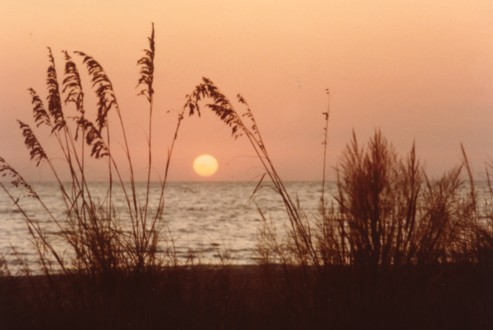 "Sunset on Treasure Island"